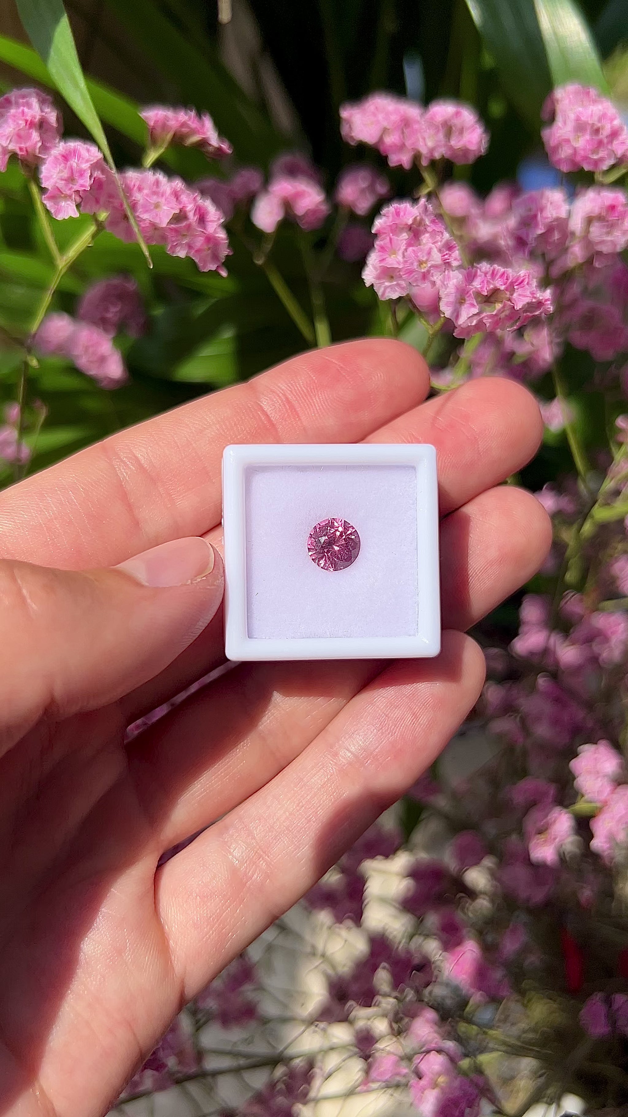 Video showing the intense brilliance, neon vivid pink flashes, and fiery round-cut sparkle of the unheated 1.75ct Vietnam spinel in motion.