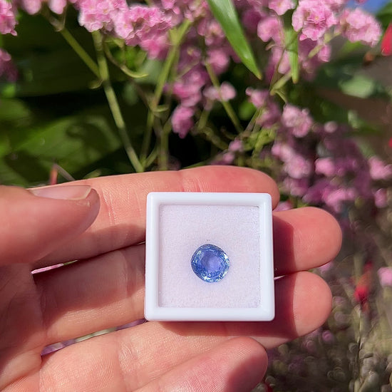 Video showing the intense brilliance, vivid electric blue flashes, and fiery round-cushion sparkle of the unheated 3.48ct Ceylon sapphire in motion.