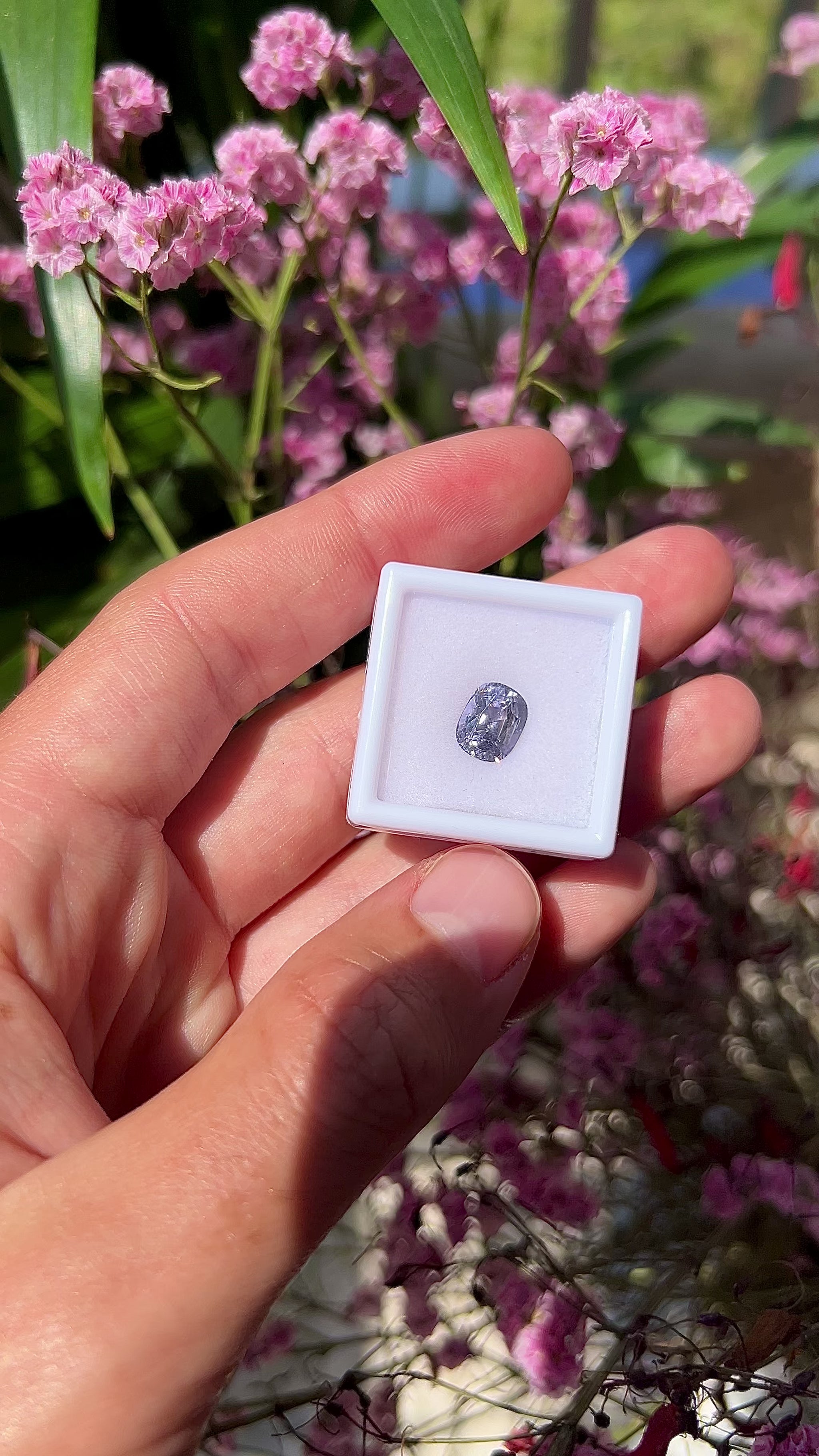 Video showing the intense brilliance, soft lavender-purple flashes, and fiery sparkle of the unheated 2.70ct Vietnam spinel in motion.