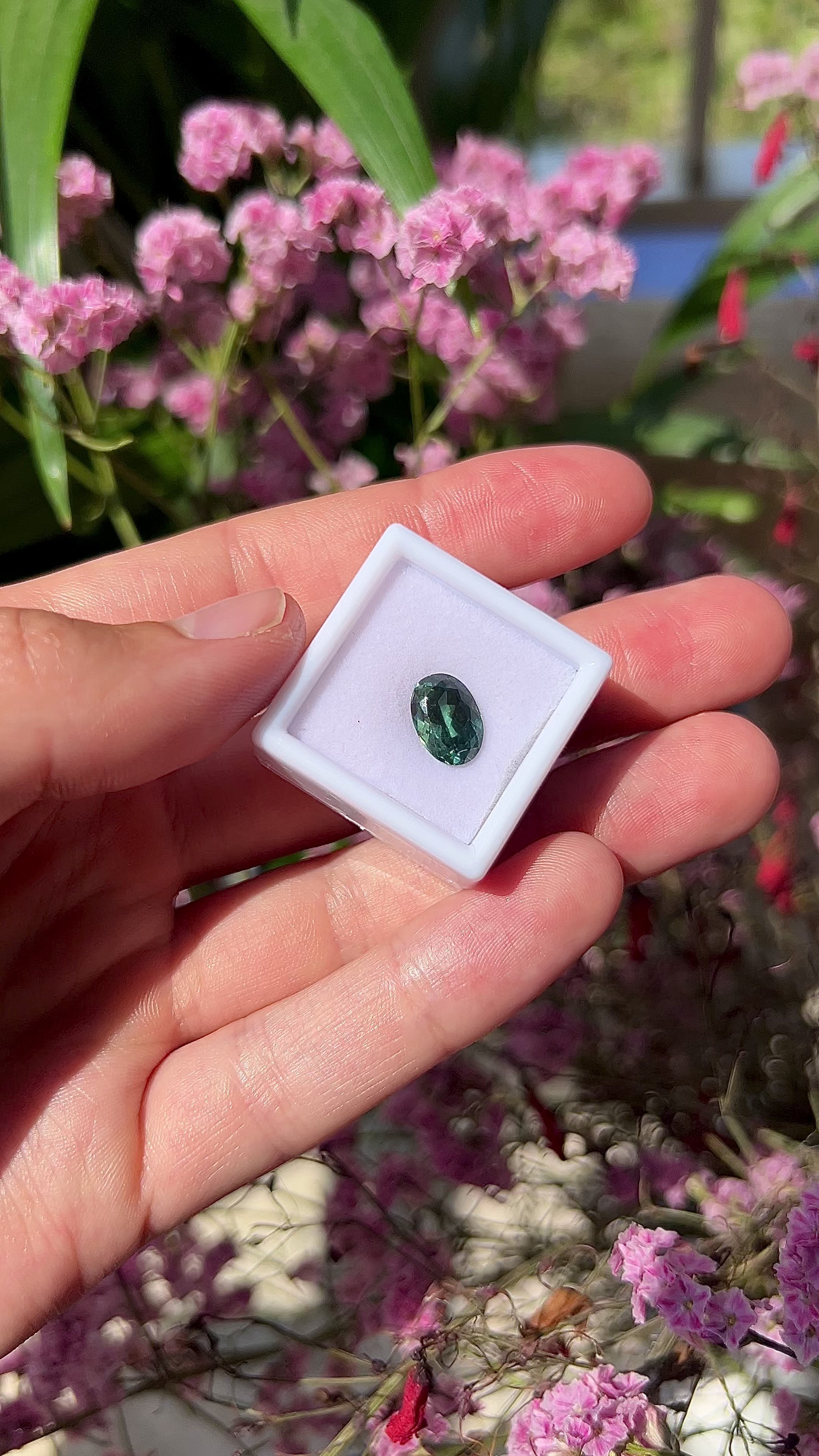 Video showing the intense luster, unique forest green flashes, and beautiful lively sparkle of the unheated 3.55ct oval green sapphire in motion.