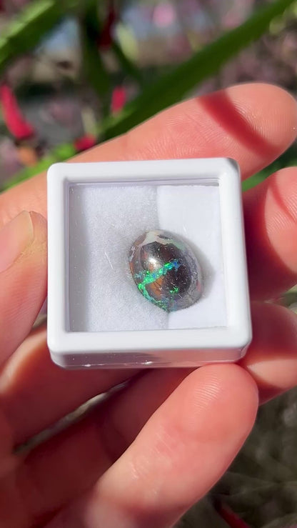 Natural Australian Boulder Opal 7.48ct