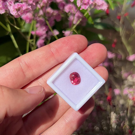 Video showing the intense brilliance, neon electric pink and orange flashes, and fiery sparkle of the unheated 2.40ct Vietnam spinel in motion.