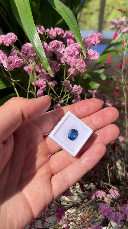 Video showing the lively brilliance, deep blue flashes, and fiery cushion-cut sparkle of the natural 3.62ct oval cushion sapphire in motion.