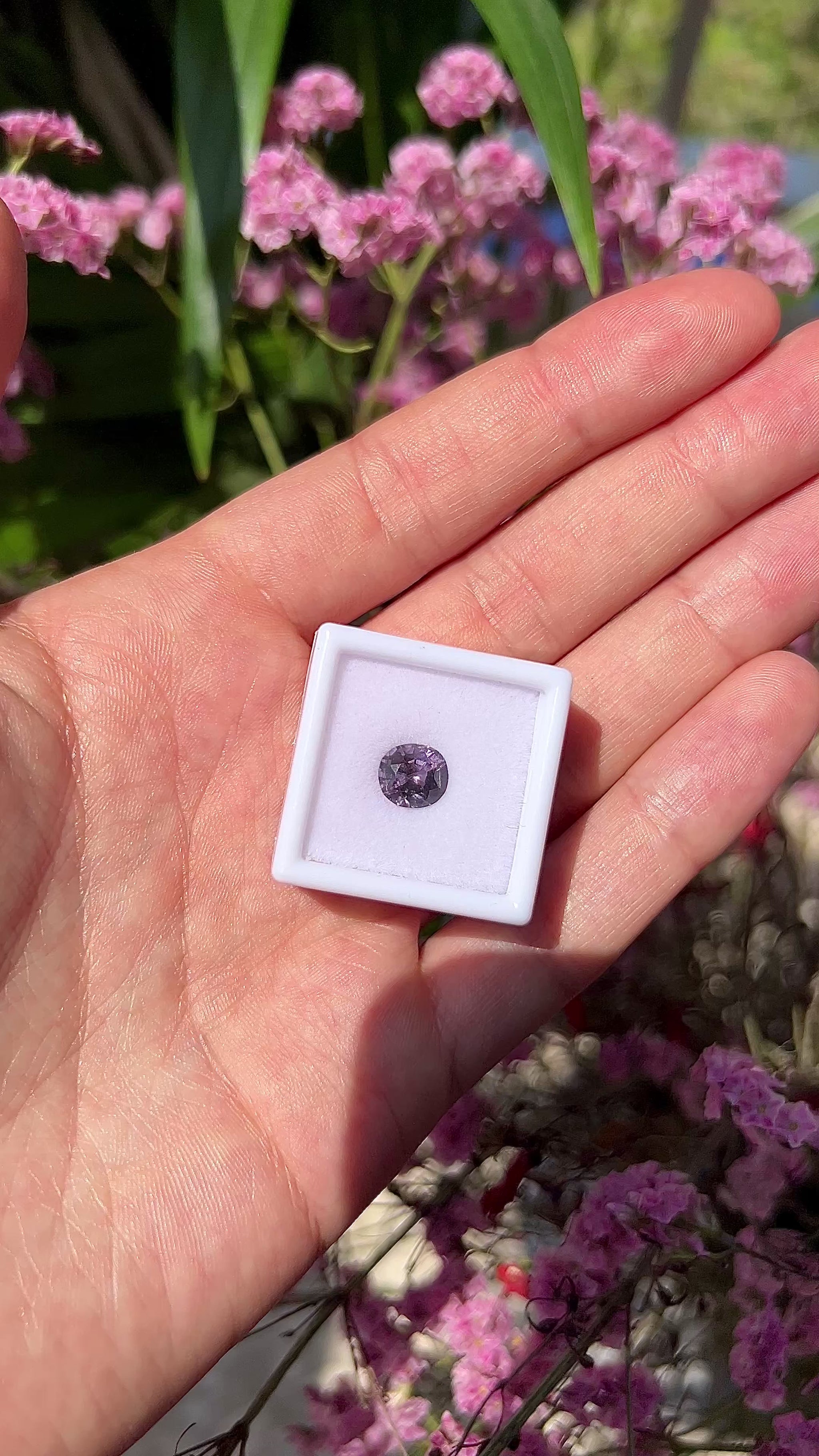 High-definition video showing the brilliant fire, lavender-purple flashes, and exceptional sparkle of the unheated 2.10ct Vietnam spinel.