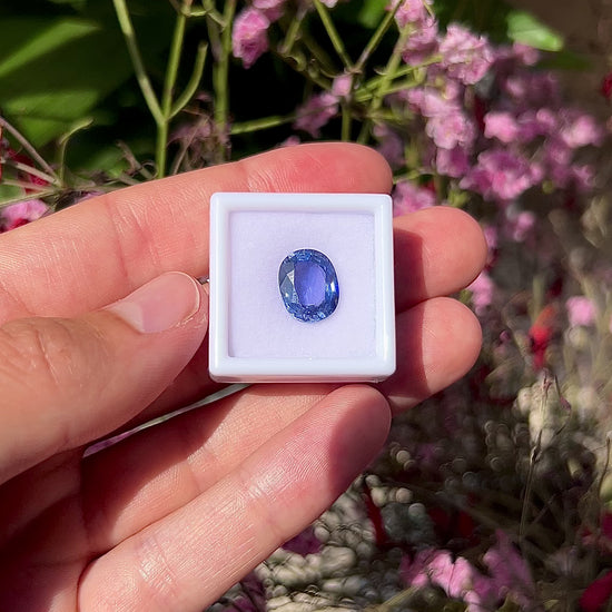 Video showing the intense brilliance, velvety vivid blue flashes, and spectacular fiery sparkle of the natural 5.67ct Ceylon oval cushion sapphire in motion.