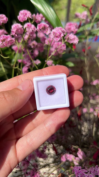 Video showing the intense brilliance, vivid neon pink flashes, and fiery sparkle of the unheated 2.30ct Vietnam spinel in motion.