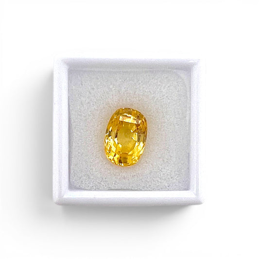 Loose 6.10 carat unheated yellow sapphire gemstone from Ceylon (Sri Lanka) displayed inside a luxury presentation gem box by Antique Jewelry Finds.